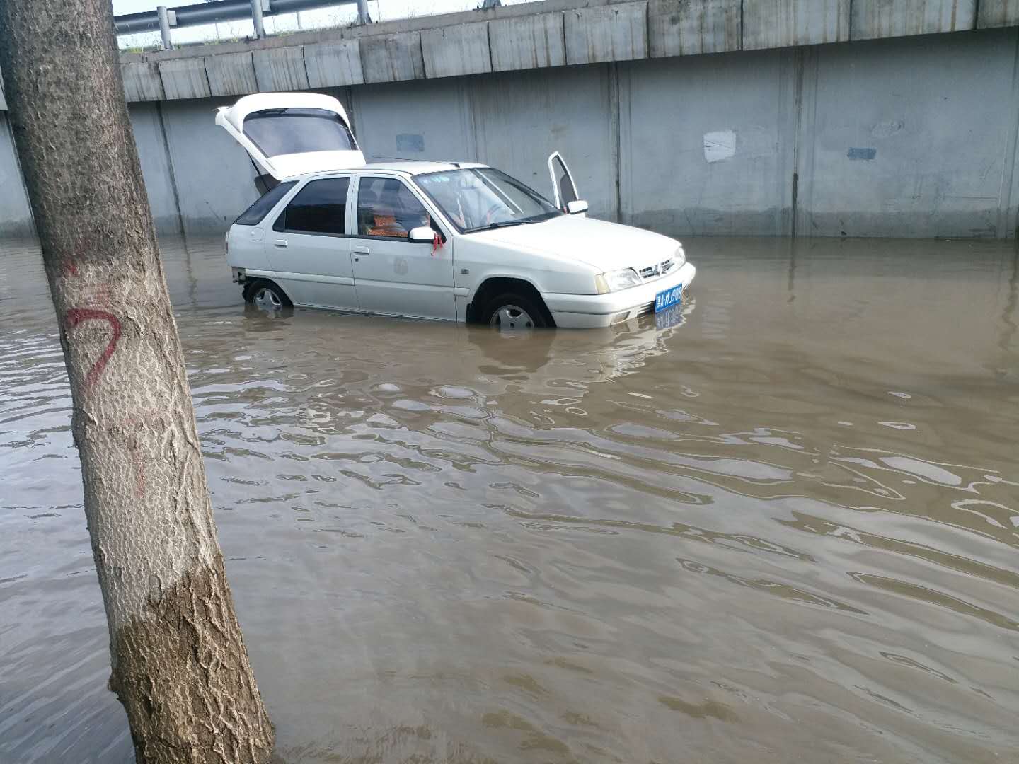 jpg
